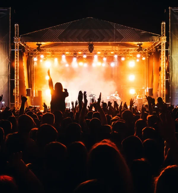 silhouettes-heads-hands-crowd-fans-live-concert